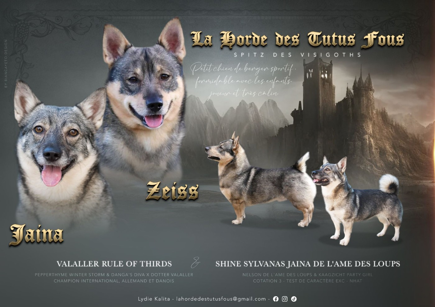 des bébés le 6 avril 2026